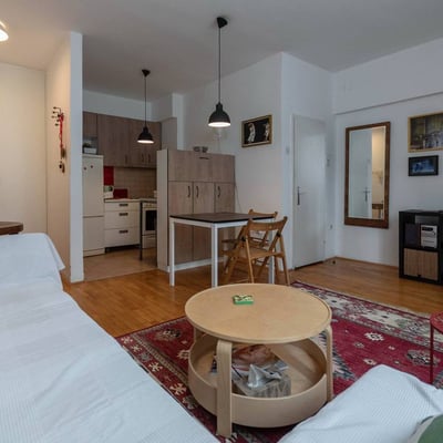 Miete einer gemütlichen 2-Zimmer-Wohnung, 45 m², Zentrum, Vračar, Belgrad, Serbien